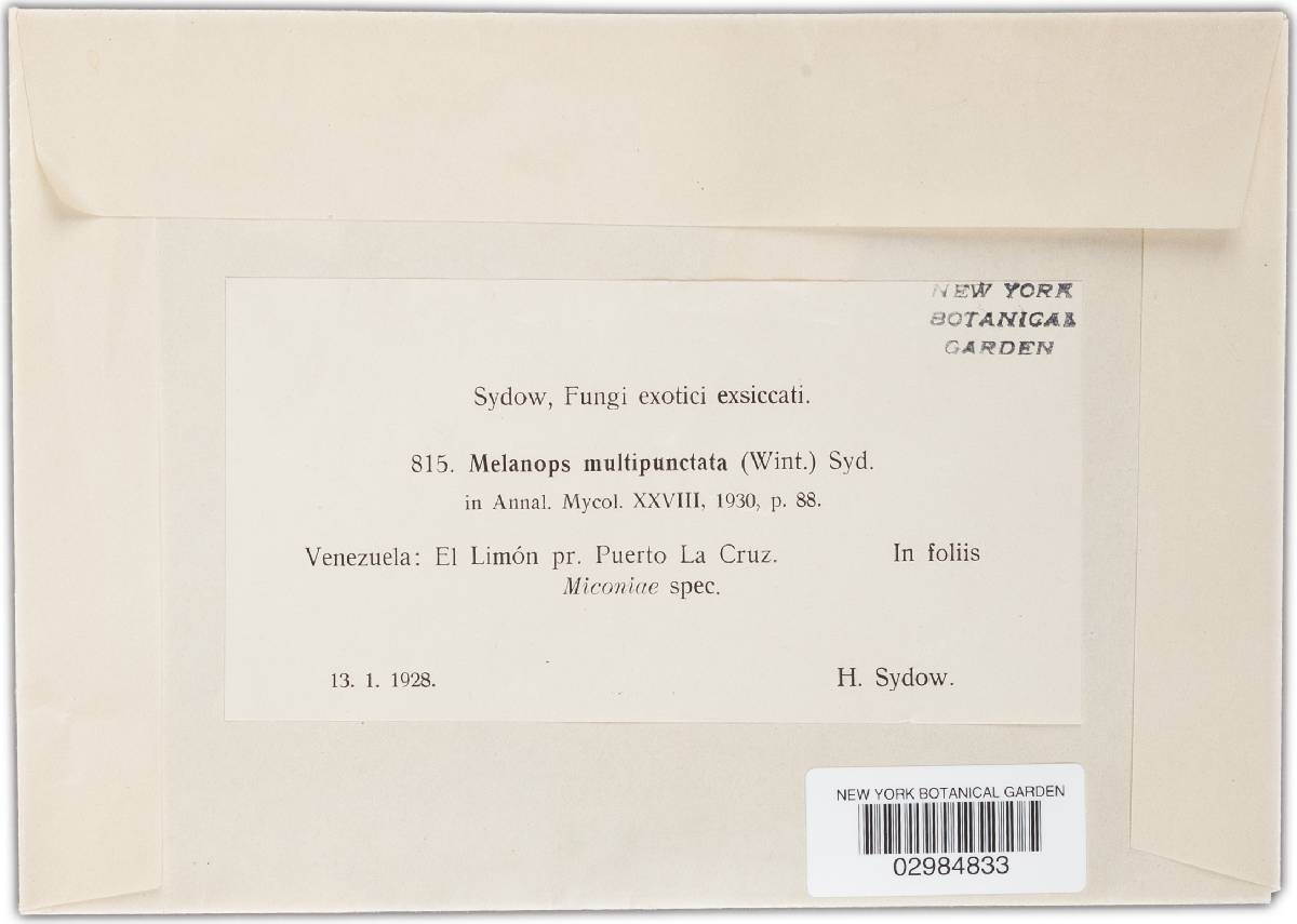 Vestergrenia multipunctata image