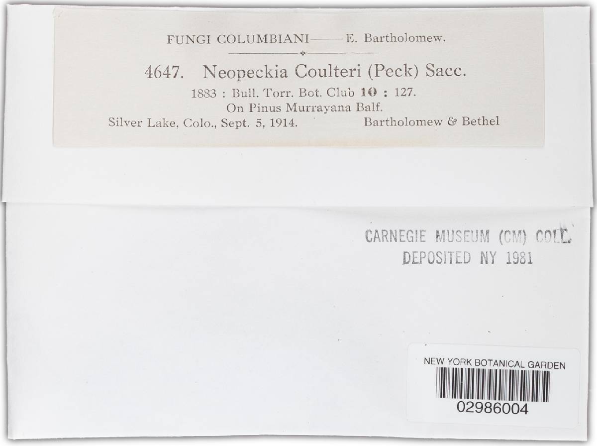 Neopeckia coulteri image