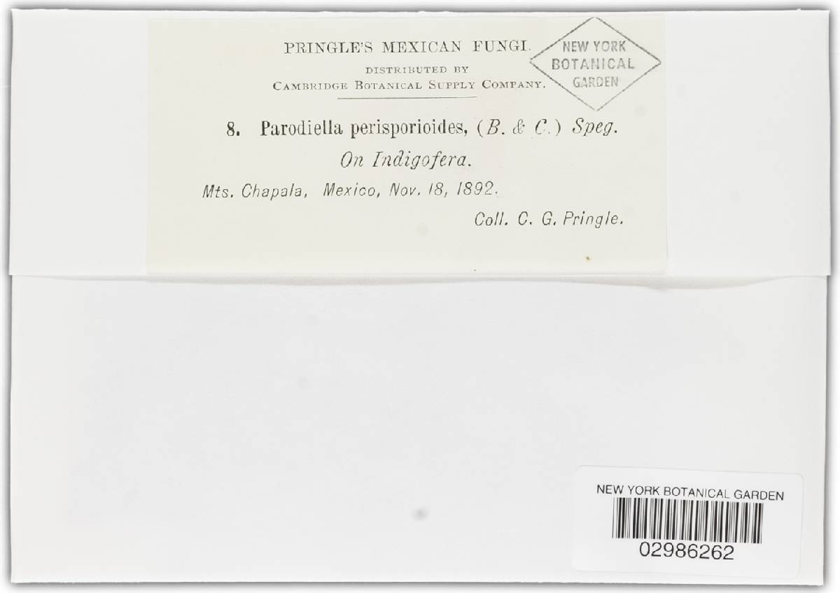 Parodiella perisporioides image