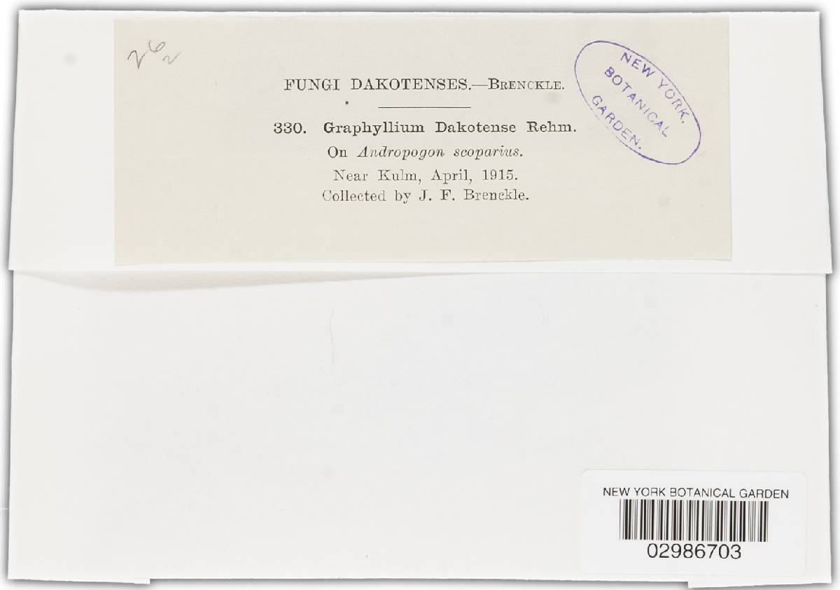 Graphyllium dakotense image