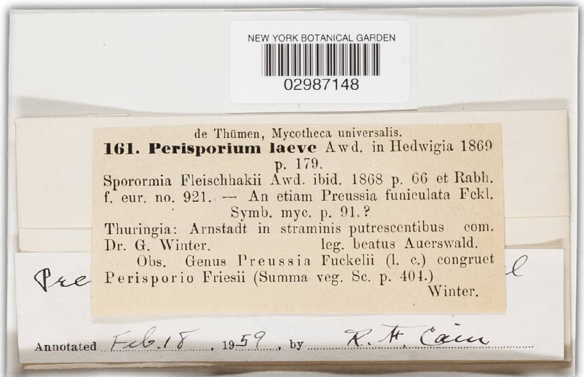 Preussia funiculata image