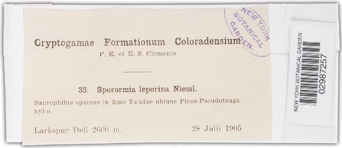 Sporormia leporina image
