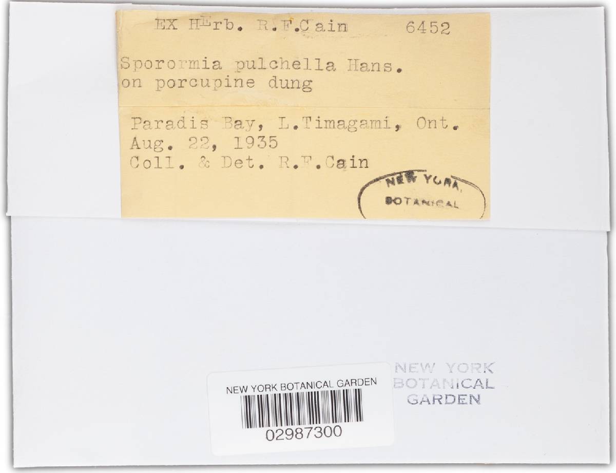 Sporormia image