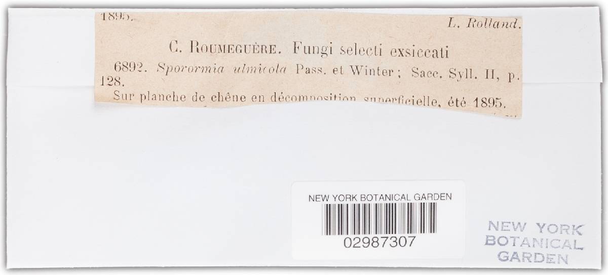 Sporormia ulmicola image