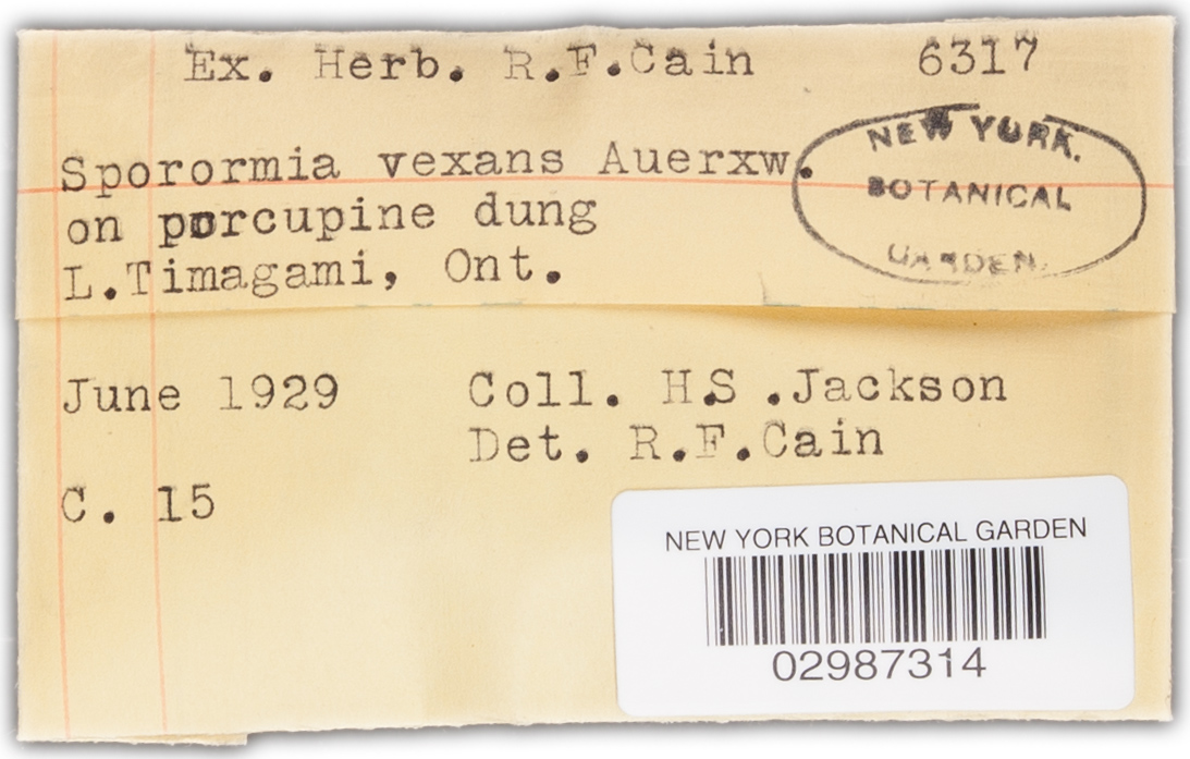 Sporormia vexans image