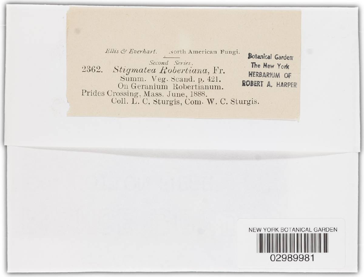 Coleroa robertiani image