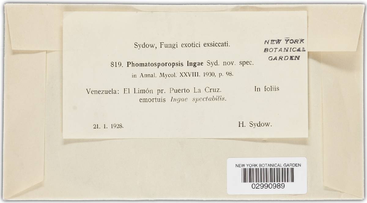 Phomatosporopsis ingae image