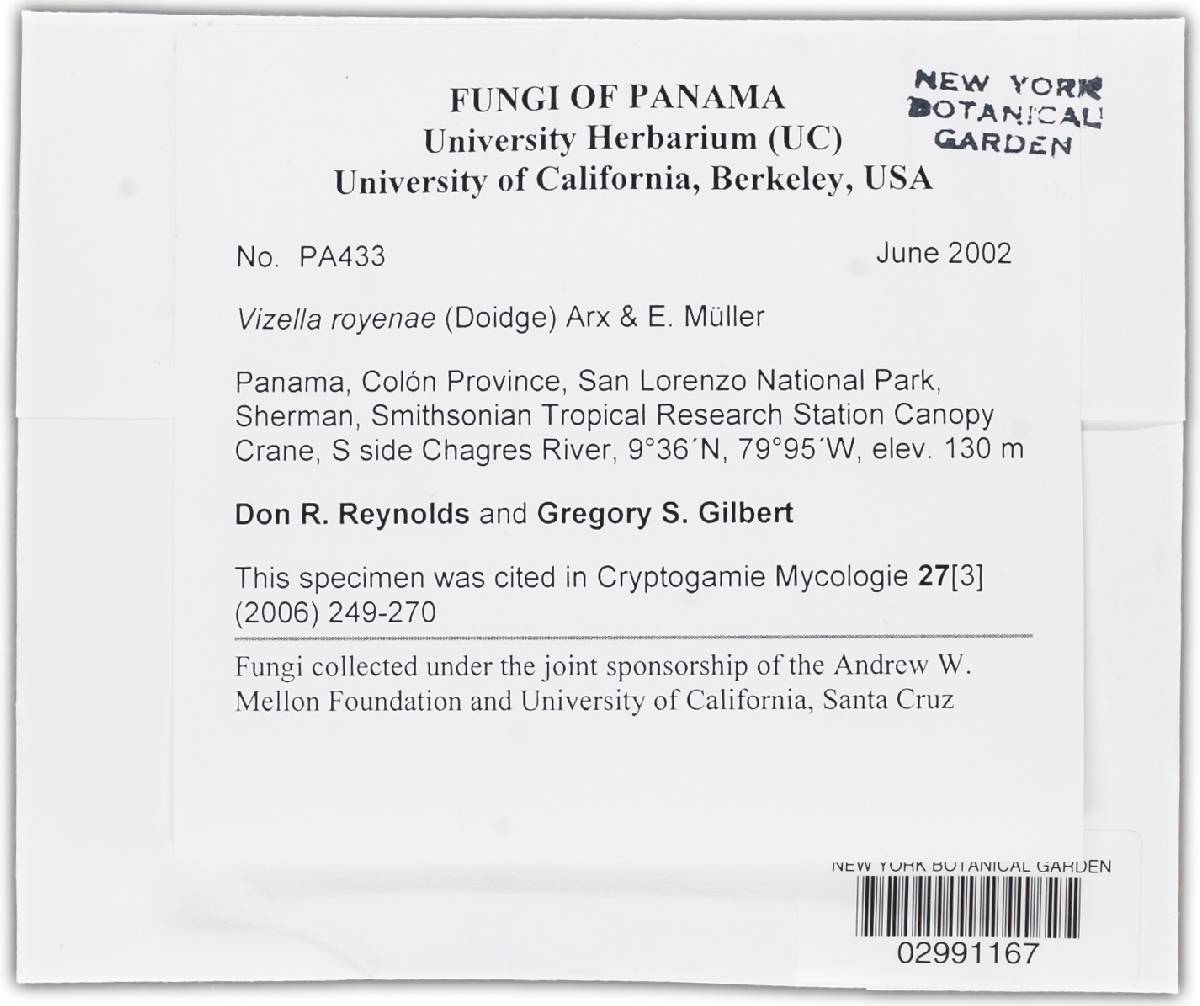 Vizella image