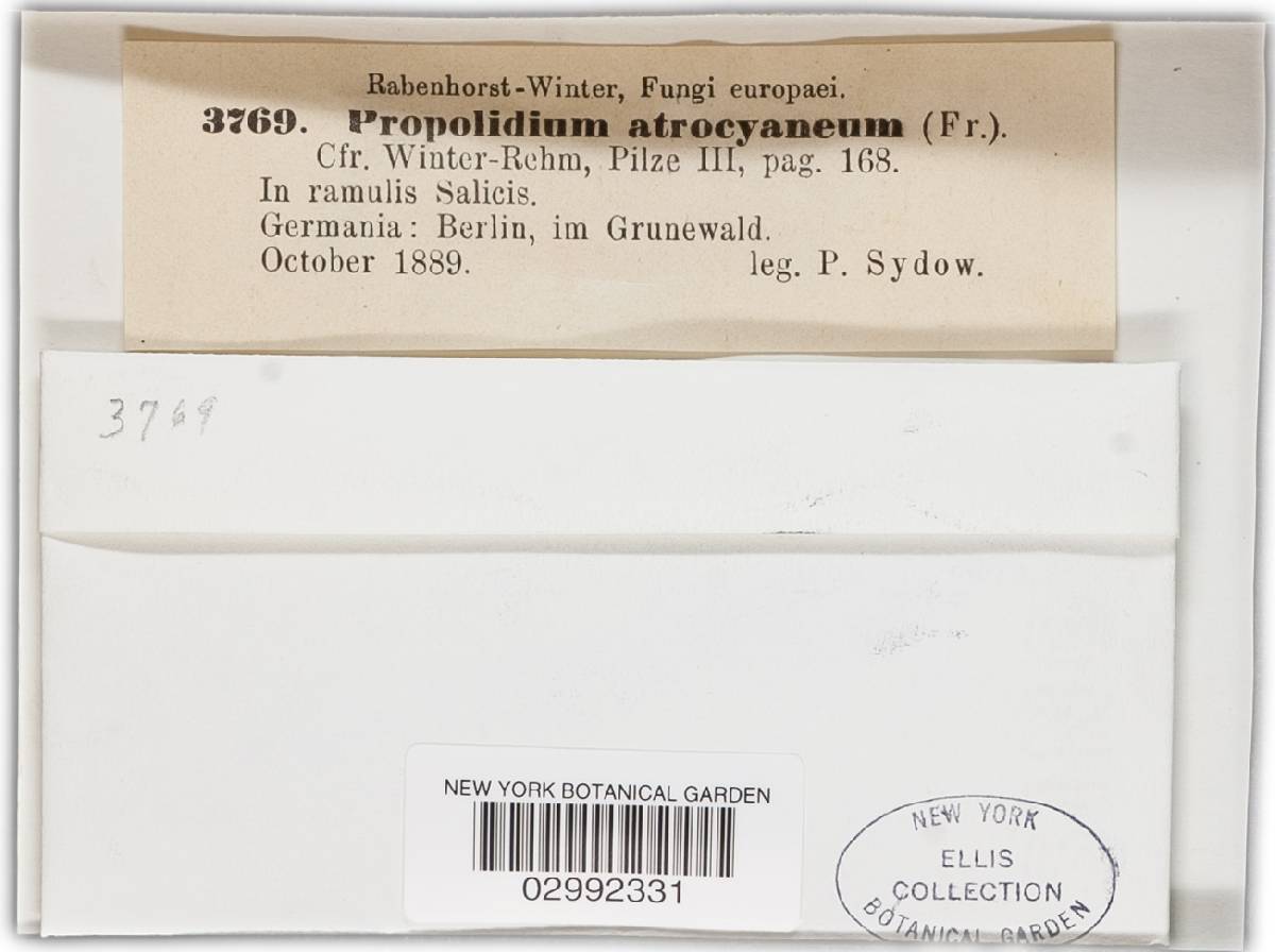 Propolidium image