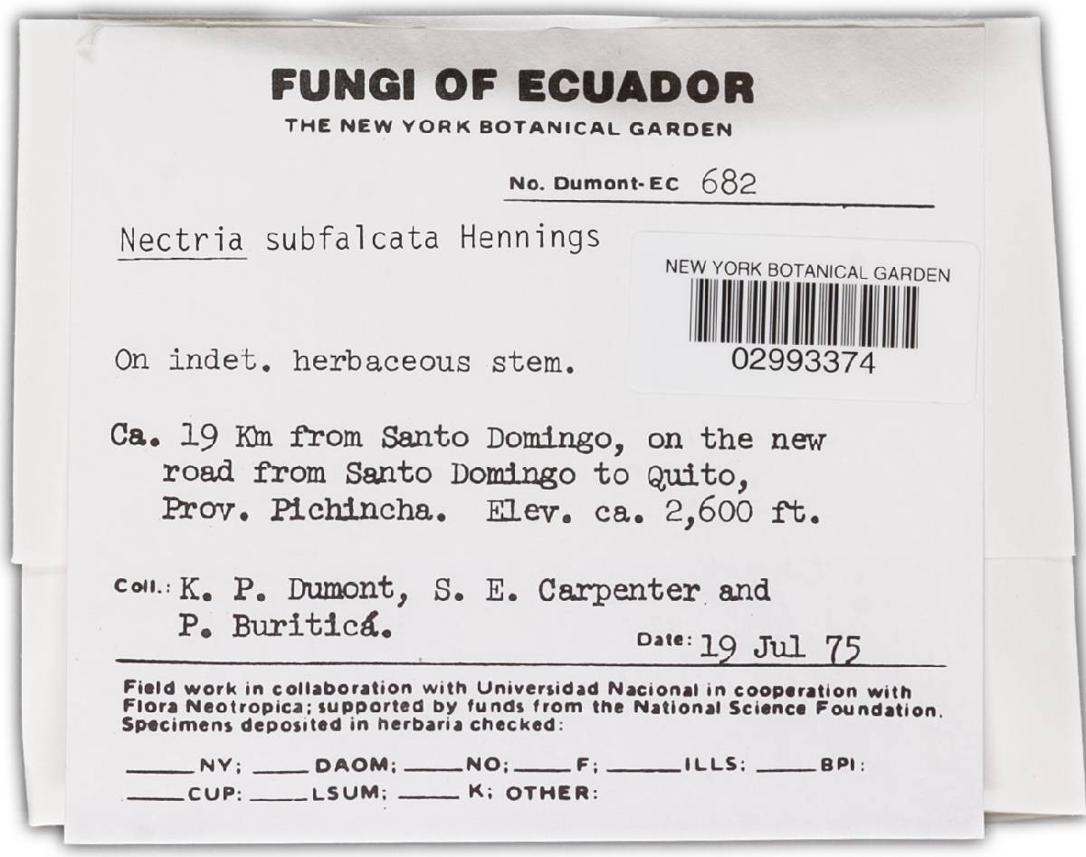 Nectria subfalcata image