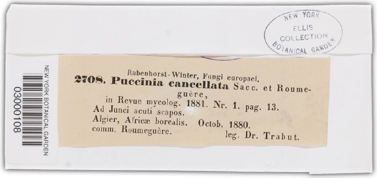 Puccinia cancellata image