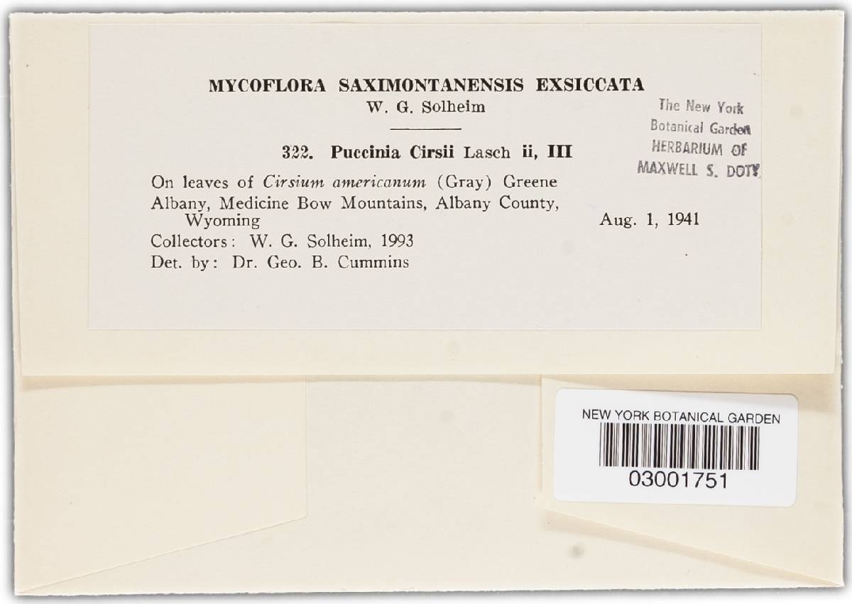 Puccinia carthami image