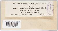 Puccinia calochorti image