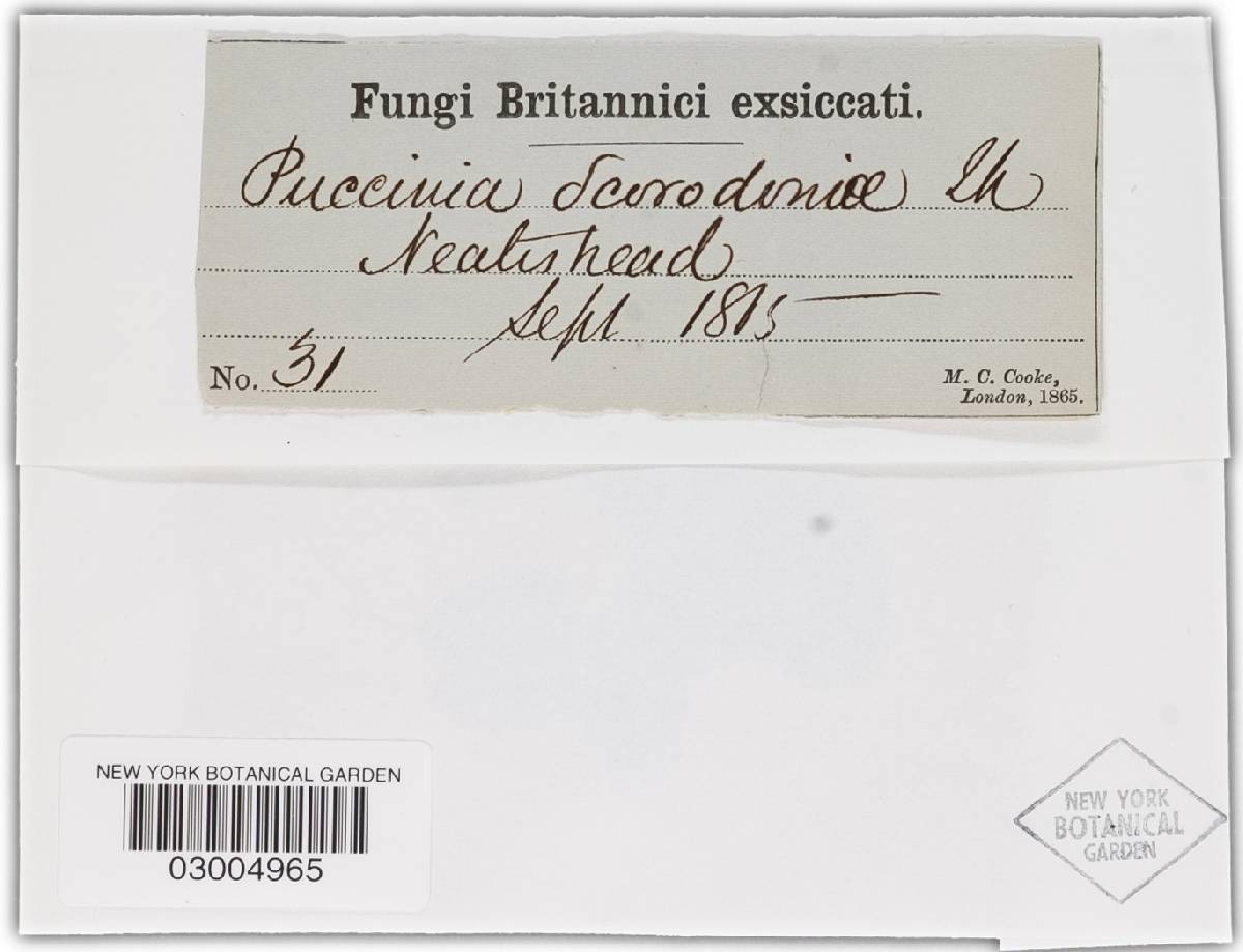Puccinia annularis image