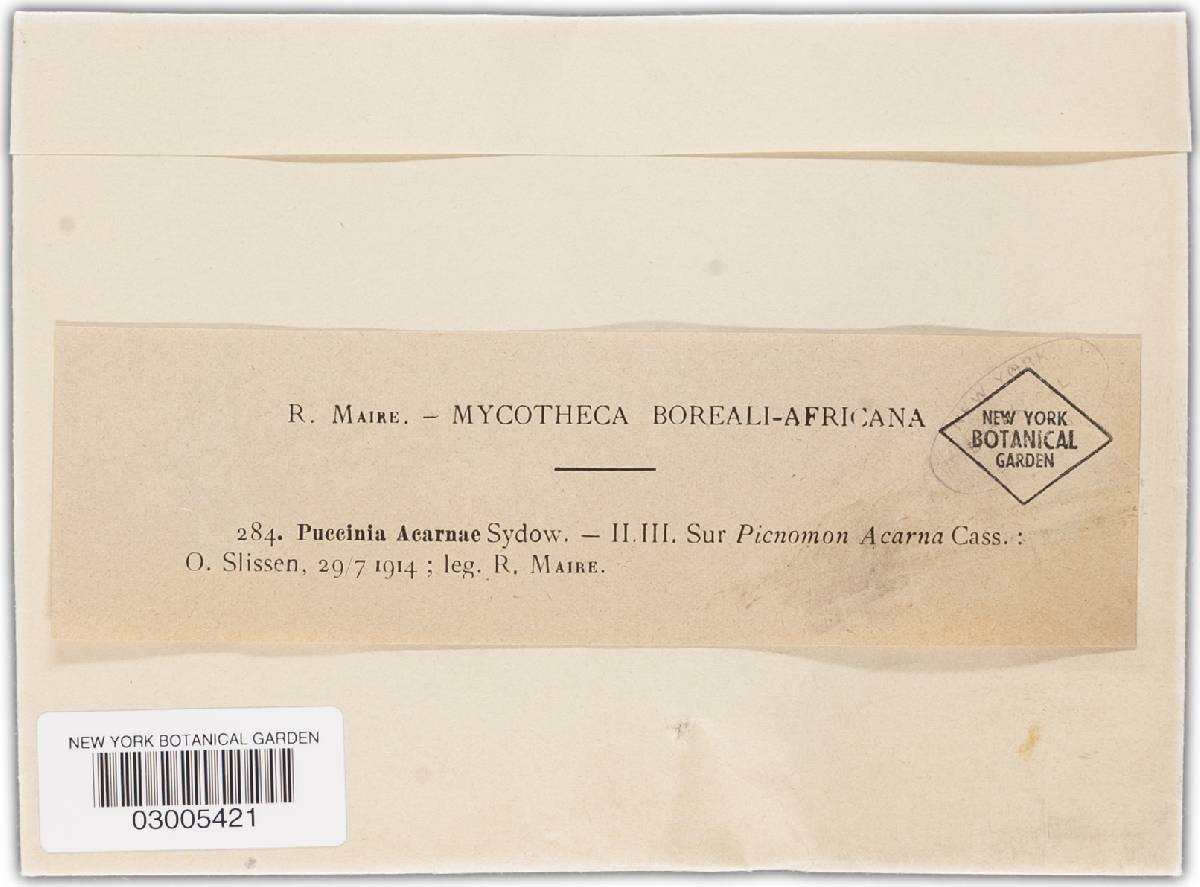 Puccinia acarnae image