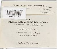 Phragmidium rubi-idaei image