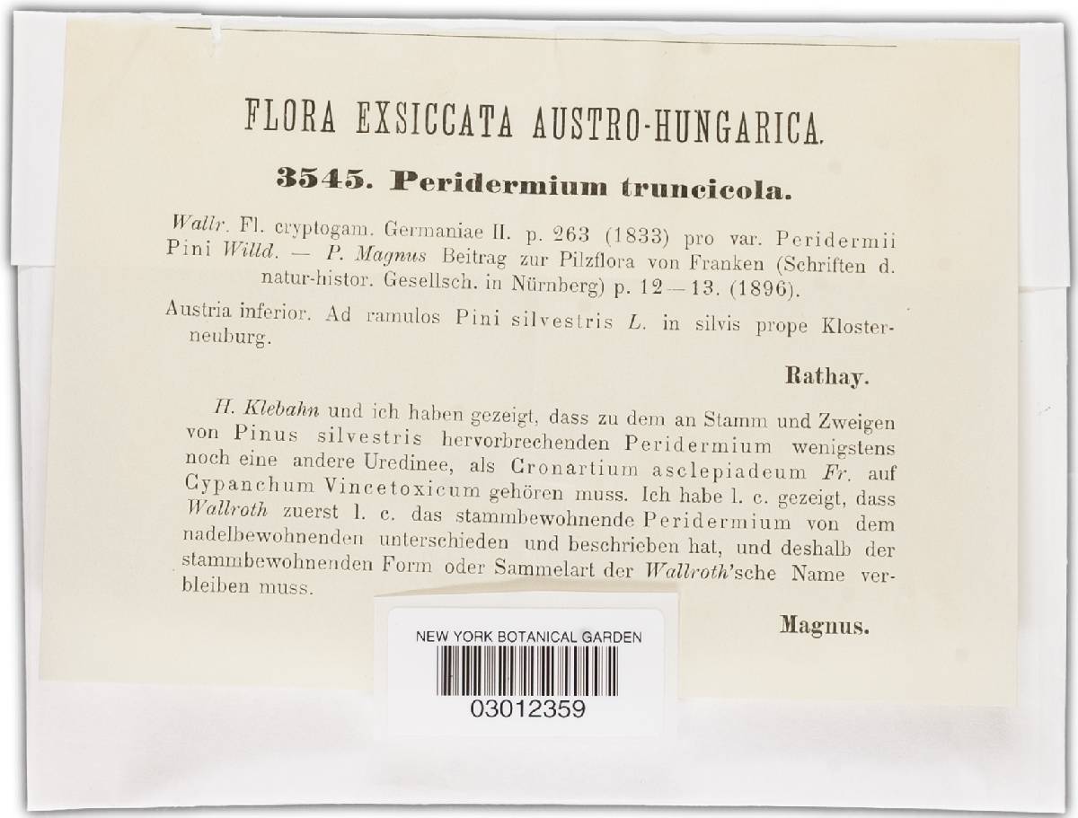 Peridermium truncicola image