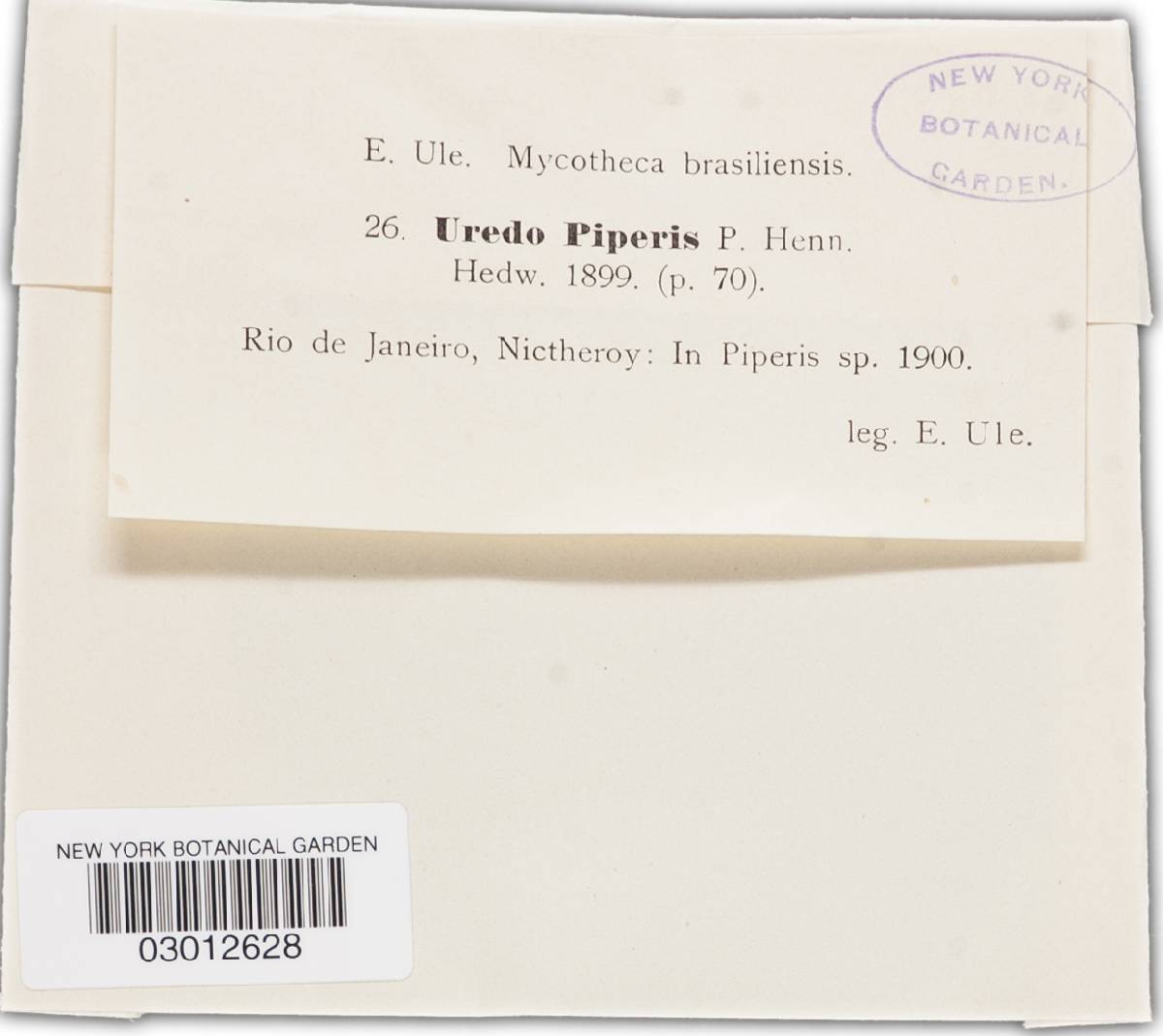 Uredo piperis image