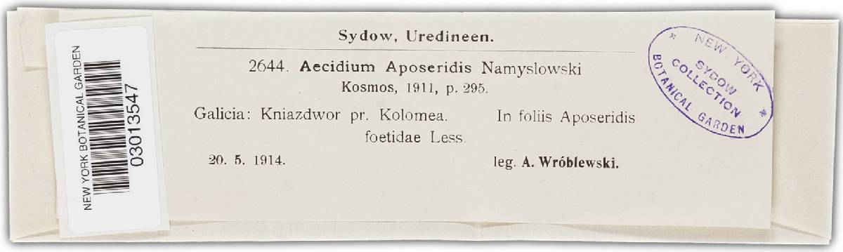 Aecidium aposeridis image