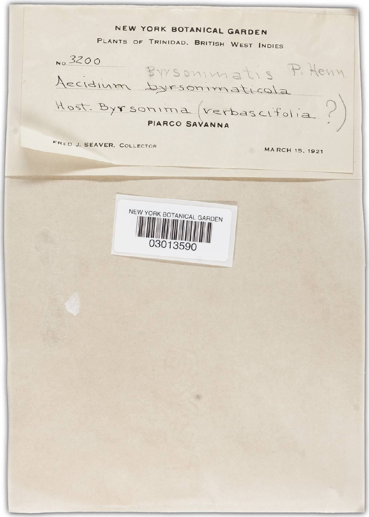 Aecidium byrsonimatis image