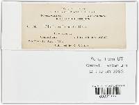 Tilletia anthoxanthi image