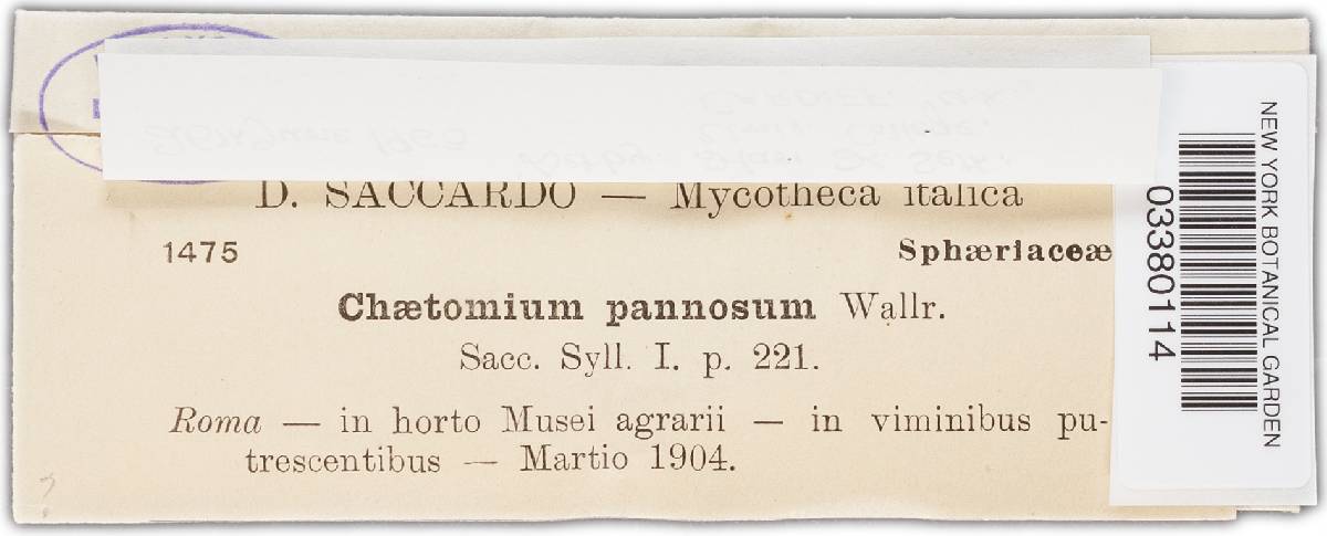 Chaetomium murorum image