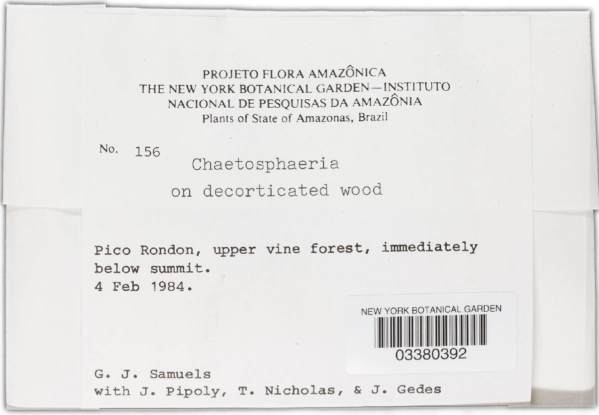 Chaetosphaeria image