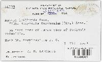 Eutypa ludibunda image