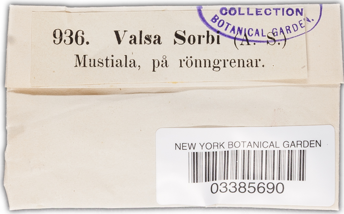 Eutypella sorbi image