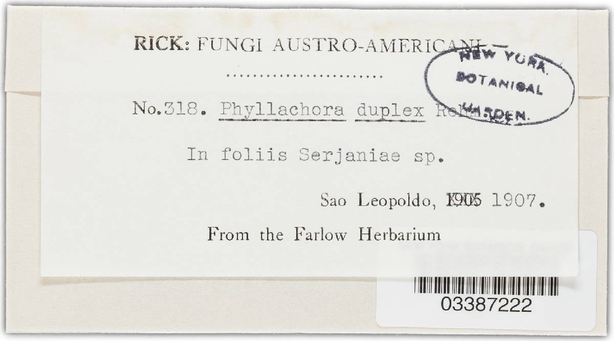 Phyllachora duplex image