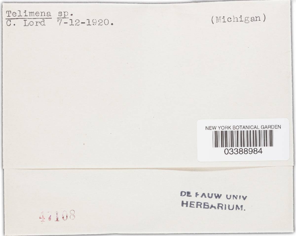 Telimena image