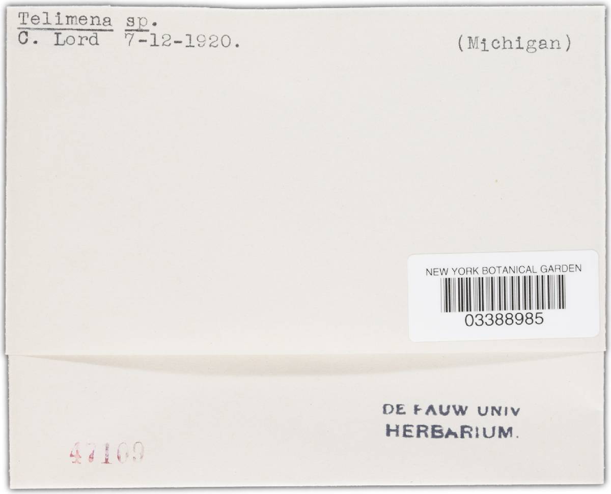 Telimena image