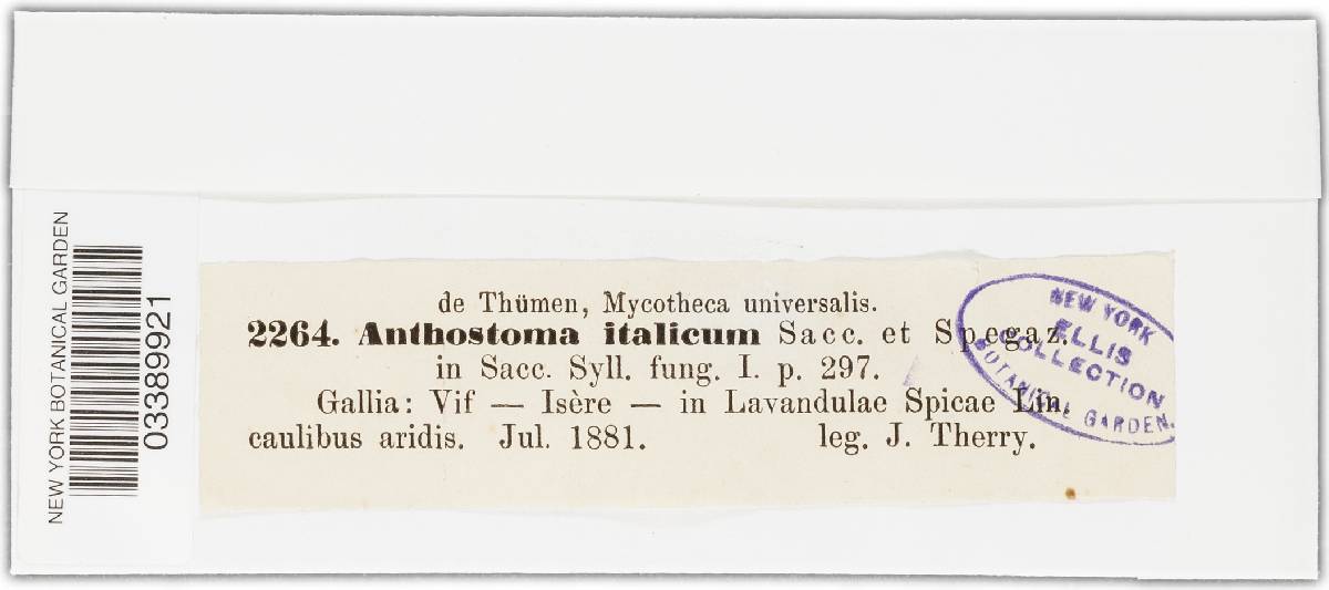 Anthostomella chionostoma image