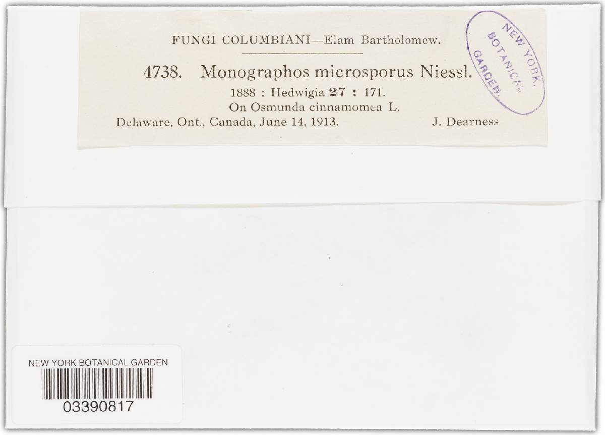 Scirrhia microspora image