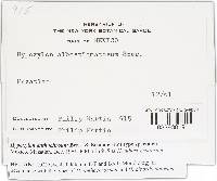 Hypoxylon anthochroum image