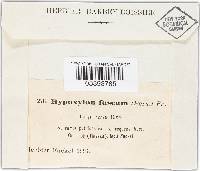 Hypoxylon fuscum image