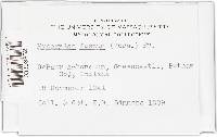 Hypoxylon fuscum image