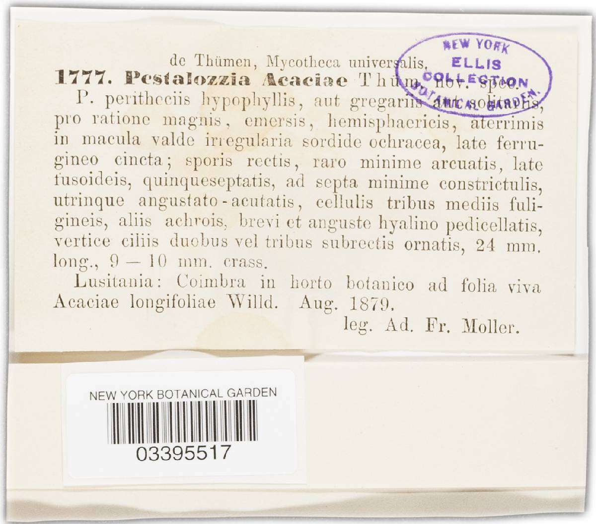 Pestalotia acaciae image