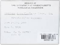 Uromyces appendiculatus image