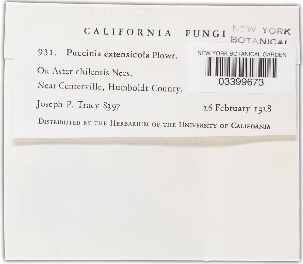 Puccinia dioicae var. extensicola image