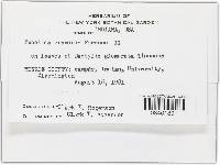 Puccinia graminis image