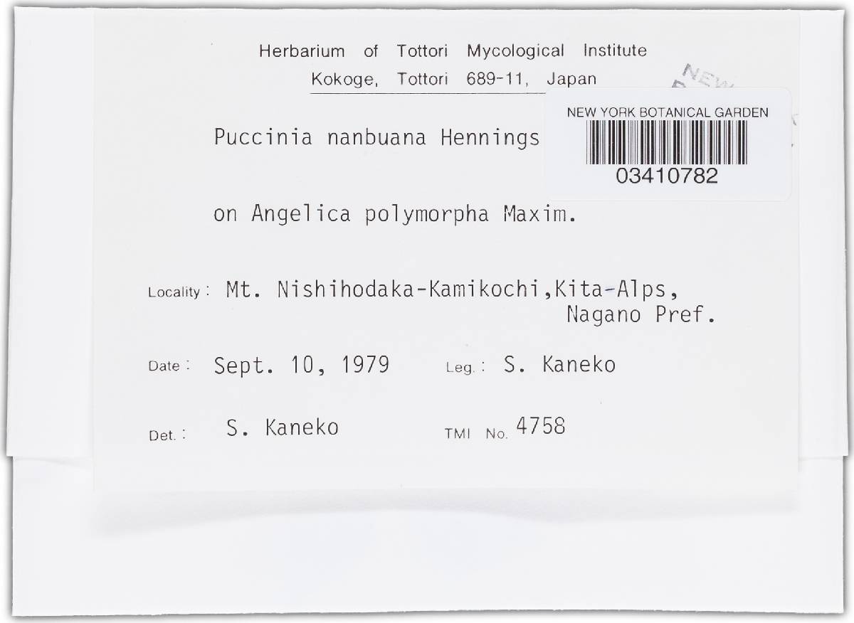 Puccinia nanbuana image
