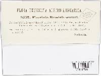 Puccinia pedunculata image