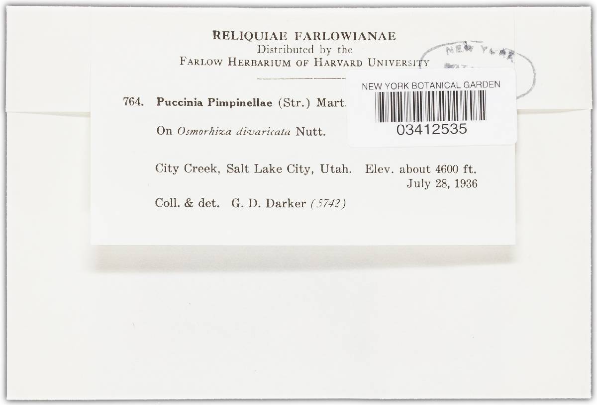Puccinia pimpinellae image