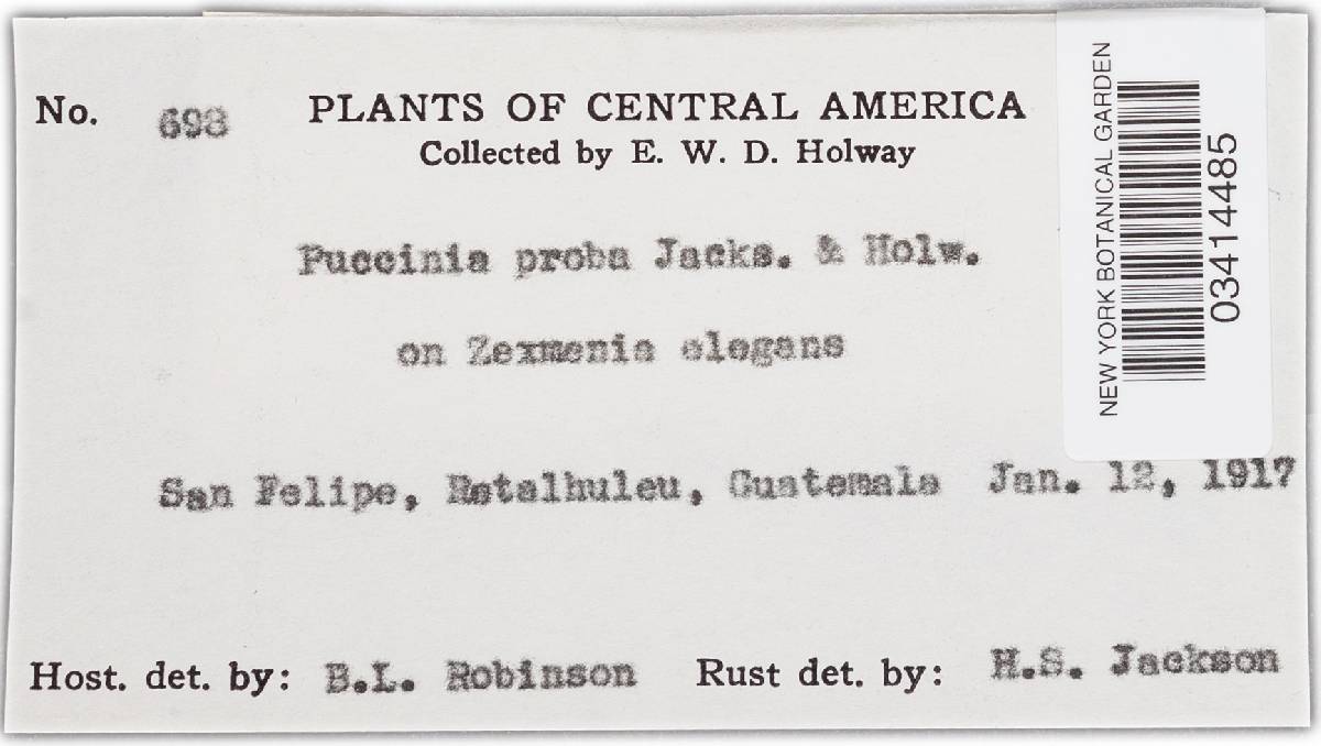 Puccinia proba image
