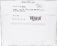 Bulgaria inquinans image