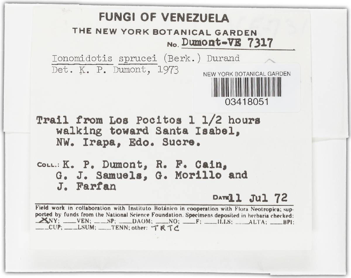Cordierites image