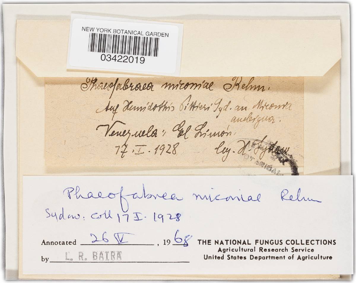 Phaeofabraea image