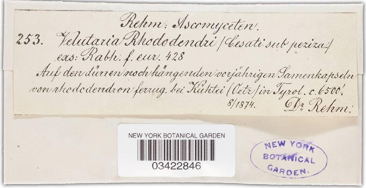 Velutaria image