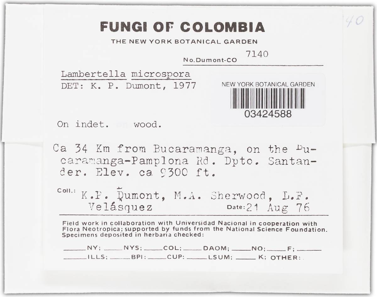 Lambertella microspora image